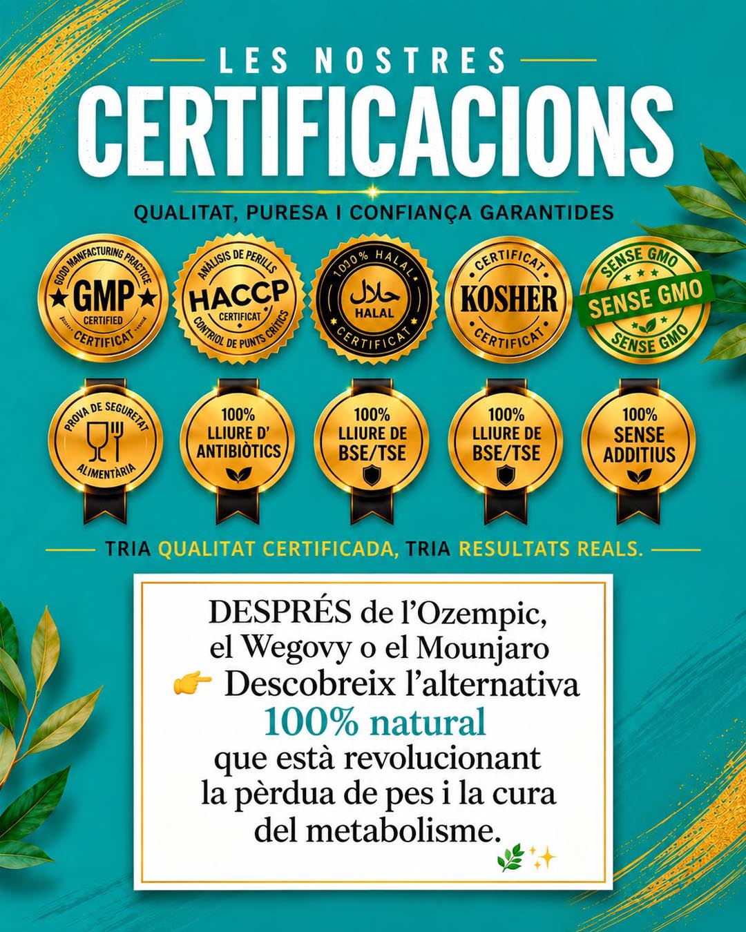 nutricionista terrassa