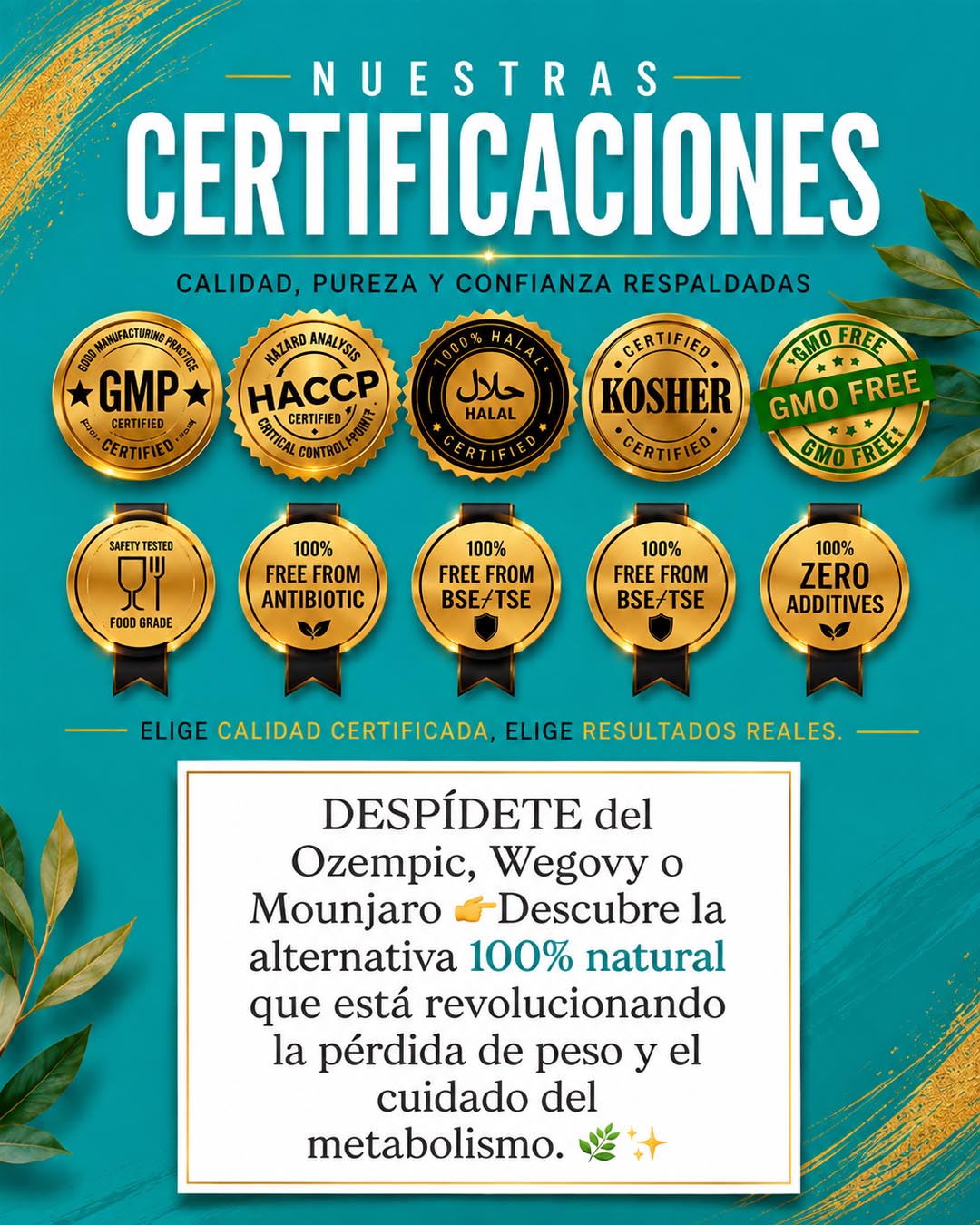 nutricionista terrassa